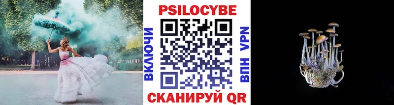 KRAKEN рабочий сайт  даркнет сайт  Кедровый  Галлюциногенные грибы GOLDEN TEACHER 
