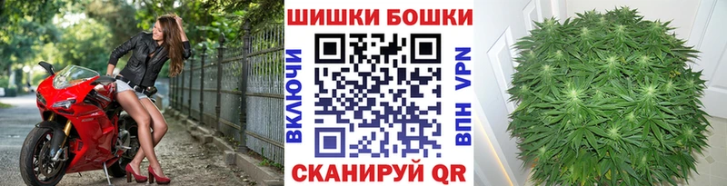 Шишки марихуана OG Kush  Кедровый 